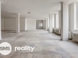 Pronájem obchodního prostoru, Karviná - Ráj, Borovského, 691 m2