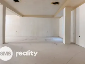 Pronájem obchodního prostoru, Karviná - Ráj, Borovského, 691 m2