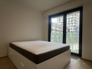 Pronájem bytu 2+kk, Praha - Žižkov, Olšanská, 69 m2