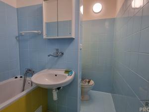 Pronájem bytu 1+1, Hodonín, Brandlova, 34 m2