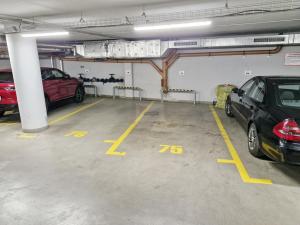Prodej bytu 3+kk, Praha - Žižkov, Kališnická, 103 m2