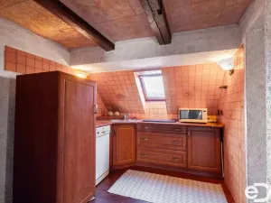 Prodej ubytování, Loučná pod Klínovcem - Loučná, 290 m2