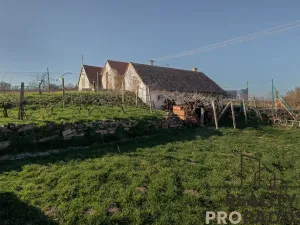 Prodej vinného sklepa, Strachotice, 450 m2