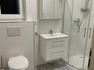 Pronájem bytu 2+kk, Praha - Vinohrady, Polská, 50 m2