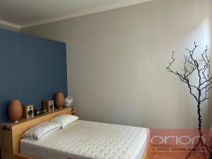 Pronájem bytu 2+kk, Praha - Vinohrady, Jagellonská, 54 m2