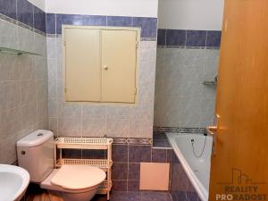 Pronájem bytu 1+kk, Olomouc, Topolová, 29 m2