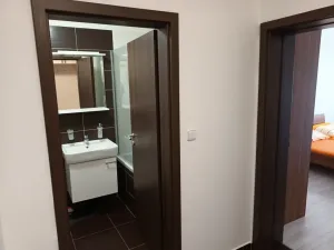 Pronájem bytu 2+kk, České Budějovice - České Budějovice 3, Nová, 76 m2