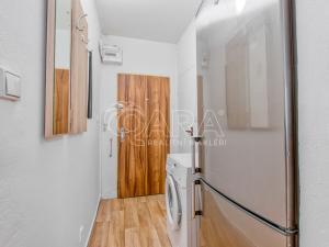 Pronájem bytu 1+kk, Ostrava, U Parku, 31 m2
