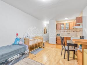 Pronájem bytu 1+kk, Ostrava, U Parku, 31 m2