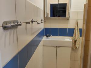 Pronájem bytu 1+1, Brno - Zábrdovice, Cejl, 25 m2