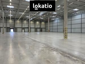 Pronájem skladu, Plzeň, Chebská, 495 m2