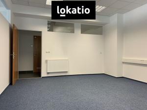 Pronájem skladu, Plzeň, Chebská, 495 m2