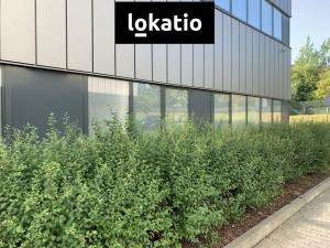Pronájem skladu, Plzeň, Chebská, 495 m2