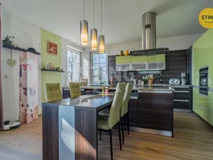 Prodej rodinného domu, Samotišky, Fromkova, 438 m2