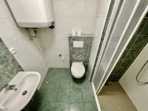 Pronájem bytu 1+kk, Brno - Bystrc, Rakovecká, 20 m2