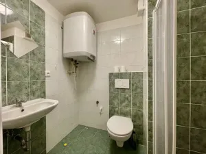 Pronájem bytu 1+kk, Brno - Bystrc, Rakovecká, 20 m2