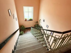 Pronájem bytu 1+1, Plzeň, Zikmunda Wintra, 38 m2