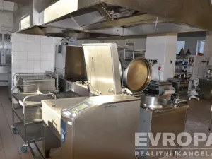 Prodej ubytování, Žihle - Nový Dvůr, Nový Dvůr, 8175 m2