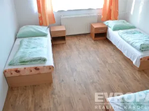 Prodej ubytování, Žihle - Nový Dvůr, Nový Dvůr, 8175 m2