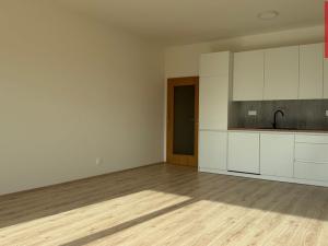 Pronájem bytu 2+kk, Opava, Císařského pluku, 62 m2