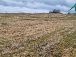 Prodej pole, Chodský Újezd - Neblažov, 387228 m2