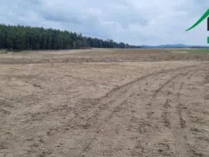 Prodej pole, Tisová - Trnová, 159359 m2