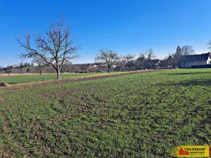 Prodej pole, Štěchov, 4979 m2