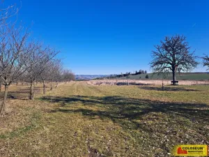 Prodej pole, Štěchov, 4979 m2