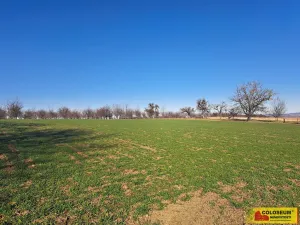 Prodej pole, Štěchov, 4979 m2