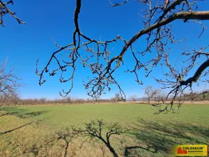 Prodej pole, Štěchov, 4979 m2