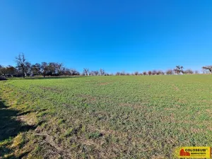 Prodej pole, Štěchov, 4979 m2