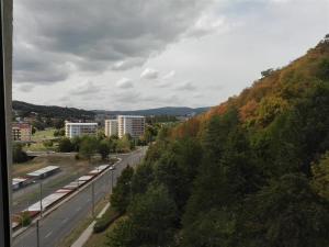 Pronájem bytu 1+kk, Ústí nad Labem - Bukov, Vinařská, 32 m2