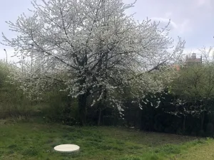 Pronájem bytu 2+kk, Olomouc, U solných mlýnů, 64 m2