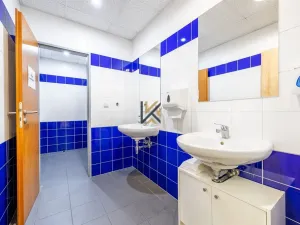 Pronájem obchodního prostoru, Praha - Zličín, Na Radosti, 1030 m2