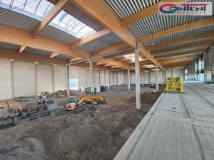 Pronájem výrobních prostor, Ostrava - Hrabová, Krmelínská, 6000 m2