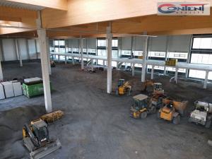 Pronájem výrobních prostor, Ostrava - Hrabová, Krmelínská, 6000 m2