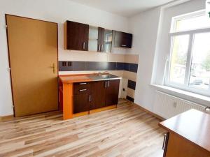 Prodej rodinného domu, Františkovy Lázně - Dolní Lomany, Americká, 313 m2