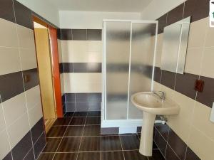 Prodej rodinného domu, Františkovy Lázně - Dolní Lomany, Americká, 313 m2