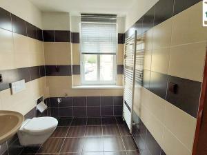 Prodej rodinného domu, Františkovy Lázně - Dolní Lomany, Americká, 313 m2