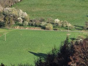 Prodej pozemku, Rusava, 3304 m2