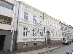 Pronájem bytu 2+kk, České Budějovice - České Budějovice 3, Riegrova, 54 m2