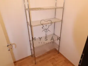 Pronájem bytu 2+kk, České Budějovice - České Budějovice 3, Riegrova, 54 m2