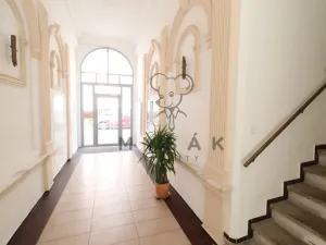 Pronájem bytu 2+kk, České Budějovice - České Budějovice 3, Riegrova, 54 m2