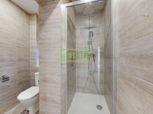 Prodej bytu 2+kk, Ústí nad Labem - Ústí nad Labem-centrum, Moskevská, 54 m2