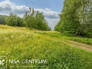 Prodej louky, Víchová nad Jizerou, 1739 m2