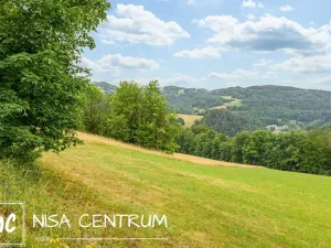 Prodej louky, Víchová nad Jizerou, 23358 m2