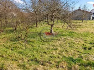 Prodej rodinného domu, Dolní Libochová, 1348 m2