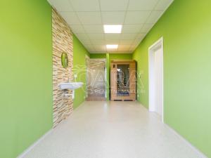 Prodej ubytování, Starý Jičín - Vlčnov, 784 m2