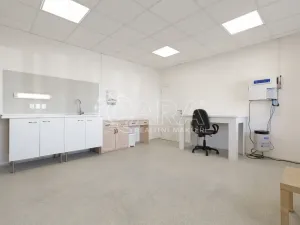 Prodej ubytování, Starý Jičín - Vlčnov, 784 m2