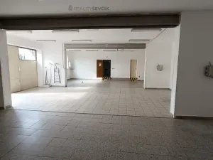 Pronájem výrobních prostor, České Budějovice - České Budějovice 2, České Vrbné, 550 m2